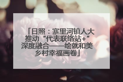 日照：寨里河镇人大推动“代表联络站+”深度融合——绘就和美乡村幸福画卷