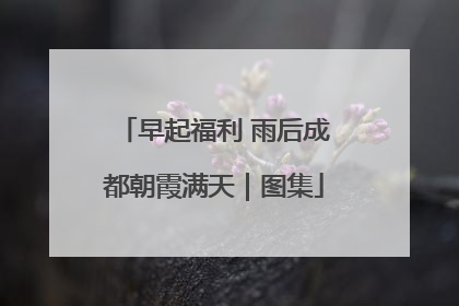 早起福利 雨后成都朝霞满天｜图集