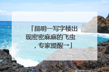 昆明一写字楼出现密密麻麻的飞虫，专家提醒→