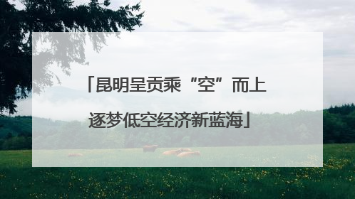昆明呈贡乘“空”而上 逐梦低空经济新蓝海