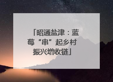 昭通盐津：蓝莓“串”起乡村振兴增收链