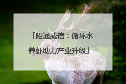 昭通威信：循环水养虾助力产业升级