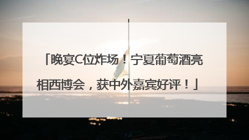 晚宴C位炸场！宁夏葡萄酒亮相西博会，获中外嘉宾好评！