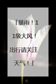 暴雨！11级大风！出行请关注天气！