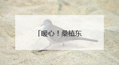 暖心！桑植东收费站助迷途老人平安回家