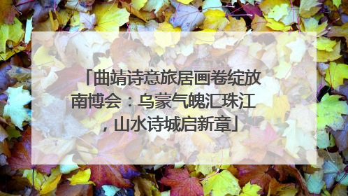 曲靖诗意旅居画卷绽放南博会：乌蒙气魄汇珠江，山水诗城启新章