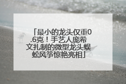 最小的龙头仅重0.6克！手艺人庞希文扎制的微型龙头蜈蚣风筝惊艳亮相