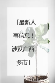 最新人事信息！涉及广西多市