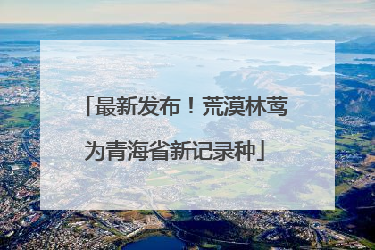 最新发布！荒漠林莺为青海省新记录种