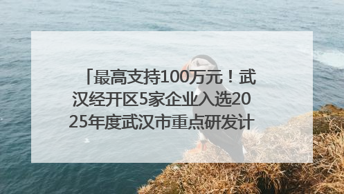 最高支持100万元！武汉经开区5家企业入选2025年度武汉市重点研发计划拟立项项目名单