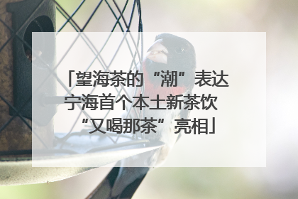 望海茶的“潮”表达 宁海首个本土新茶饮“又喝那茶”亮相