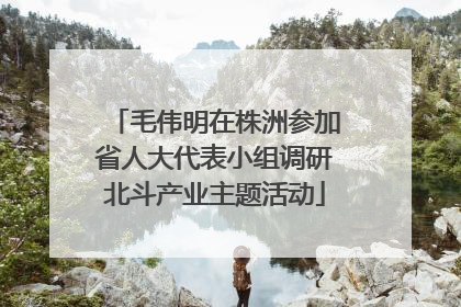 毛伟明在株洲参加省人大代表小组调研北斗产业主题活动
