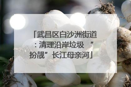武昌区白沙洲街道：清理沿岸垃圾 “扮靓”长江母亲河