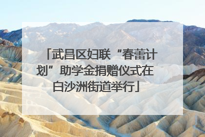 武昌区妇联“春蕾计划”助学金捐赠仪式在白沙洲街道举行