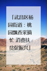武昌区杨园街道：桃园飘香采摘忙 消费扶贫促振兴