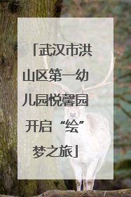 武汉市洪山区第一幼儿园悦馨园开启“绘”梦之旅
