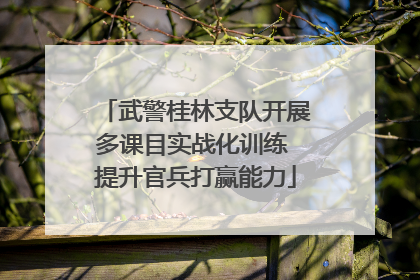 武警桂林支队开展多课目实战化训练 提升官兵打赢能力