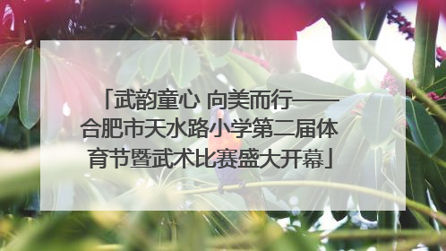 武韵童心 向美而行——合肥市天水路小学第二届体育节暨武术比赛盛大开幕