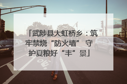 武陟县大虹桥乡：筑牢禁烧“防火墙” 守护夏粮好“丰”景