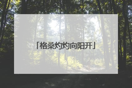 格桑灼灼向阳开