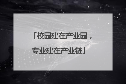 校园建在产业园，专业建在产业链