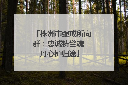 株洲市强戒所向群：忠诚铸警魂 丹心护归途