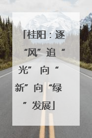 桂阳：逐“风”追“光” 向“新”向“绿”发展