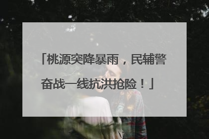 桃源突降暴雨，民辅警奋战一线抗洪抢险！