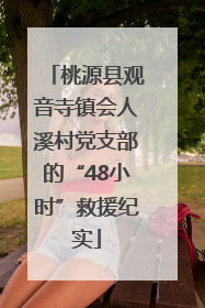 桃源县观音寺镇会人溪村党支部的“48小时”救援纪实