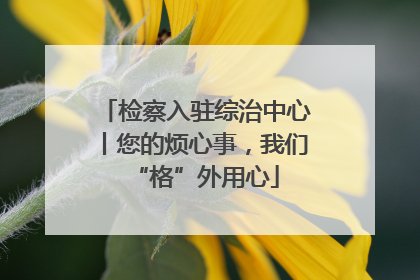 检察入驻综治中心丨您的烦心事，我们“格”外用心