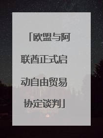 欧盟与阿联酋正式启动自由贸易协定谈判