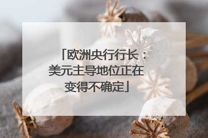 欧洲央行行长：美元主导地位正在变得不确定