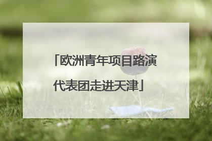欧洲青年项目路演代表团走进天津