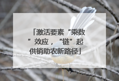 激活要素“乘数”效应，“链”起供销助农新路径