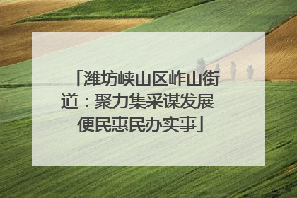 潍坊峡山区岞山街道：聚力集采谋发展 便民惠民办实事