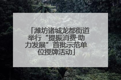 潍坊诸城龙都街道举行“提振消费·助力发展”首批示范单位授牌活动