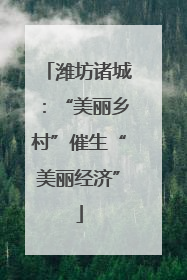 潍坊诸城：“美丽乡村”催生“美丽经济”