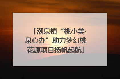 潮泉镇“桃小美·泉心办”助力梦幻桃花源项目扬帆起航