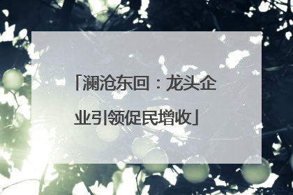 澜沧东回：龙头企业引领促民增收
