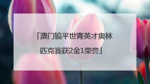 澳门镜平世青英才奥林匹克赛获2金1荣誉