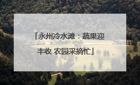 永州冷水滩：蔬果迎丰收 农园采摘忙