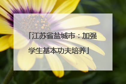 江苏省盐城市：加强学生基本功夫培养