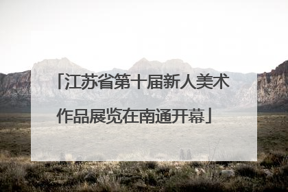 江苏省第十届新人美术作品展览在南通开幕