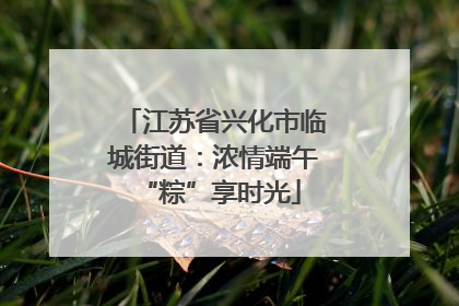 江苏省兴化市临城街道：浓情端午 “粽”享时光
