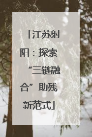 江苏射阳：探索“三链融合”助残新范式