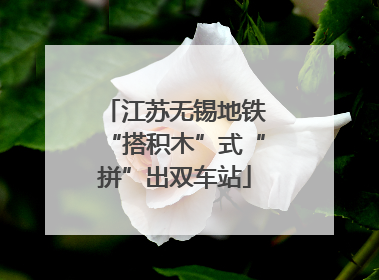 江苏无锡地铁“搭积木”式“拼”出双车站
