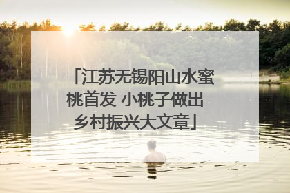 江苏无锡阳山水蜜桃首发 小桃子做出乡村振兴大文章