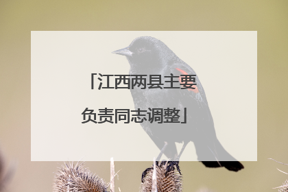 江西两县主要负责同志调整