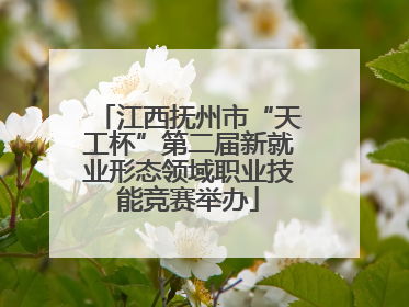 江西抚州市“天工杯”第二届新就业形态领域职业技能竞赛举办