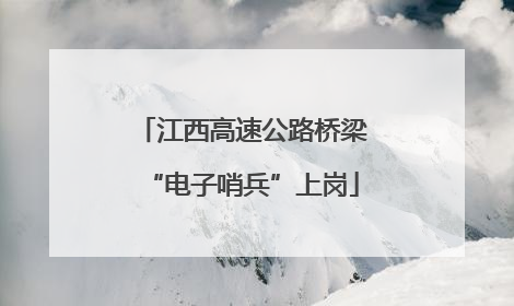 江西高速公路桥梁“电子哨兵”上岗